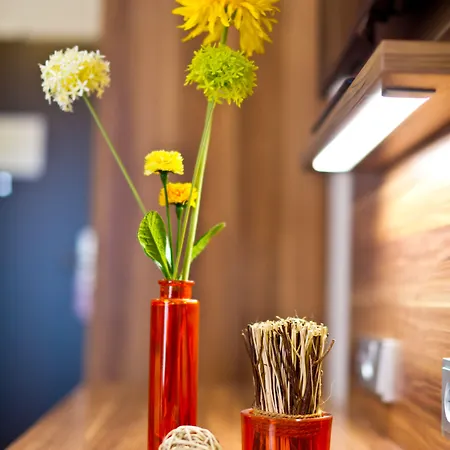 Wohlfuehl-hotel Neu Heidelberg