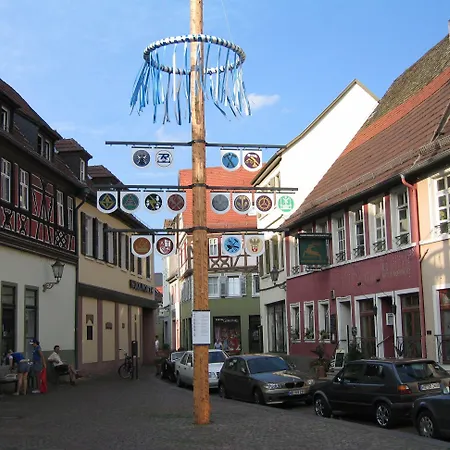 Wohlfuehl-hotel Neu 4* Heidelberg