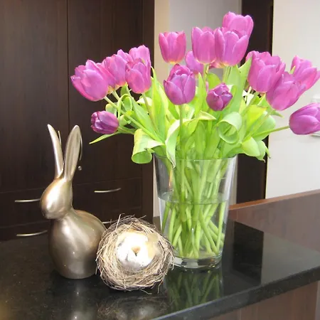 Wohlfuehl-hotel Neu Heidelberg