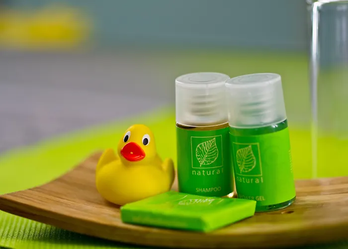 Hotel Wohlfuehl-hotel Neu Heidelberg