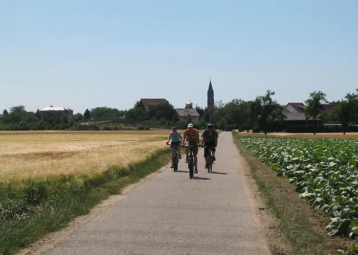 Wohlfuehl-hotel Neu Heidelberg