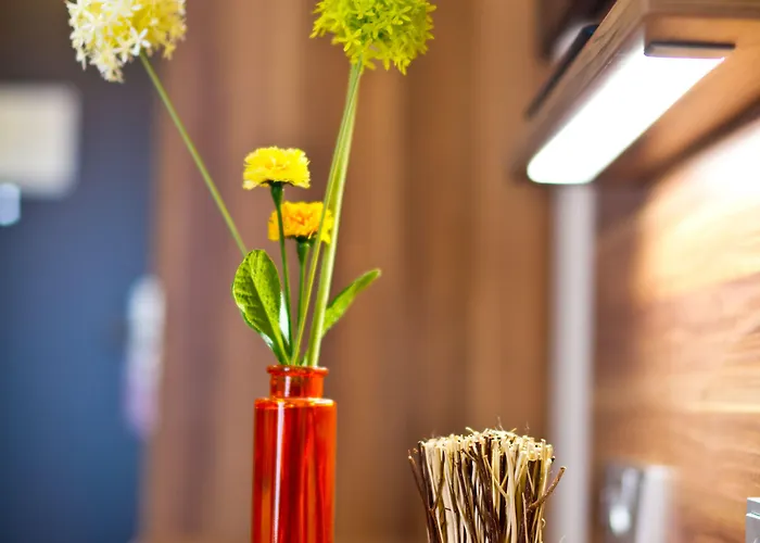 Wohlfuehl-hotel Neu Heidelberg