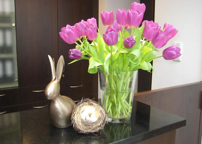 Wohlfuehl-hotel Neu Heidelberg